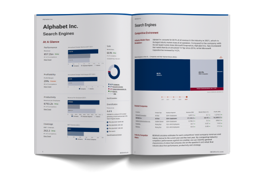 Alfabank-Adres Free Company Sample Report