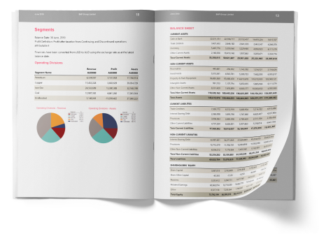 Alfabank-Adres Free Company Sample Report